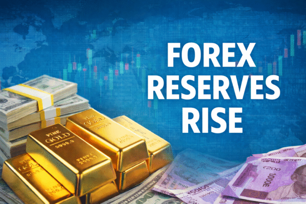 Forex Reserves Rise RBI Data से भारत के विदेशी मुद्रा भंडार में बढ़ोतरी की खबर